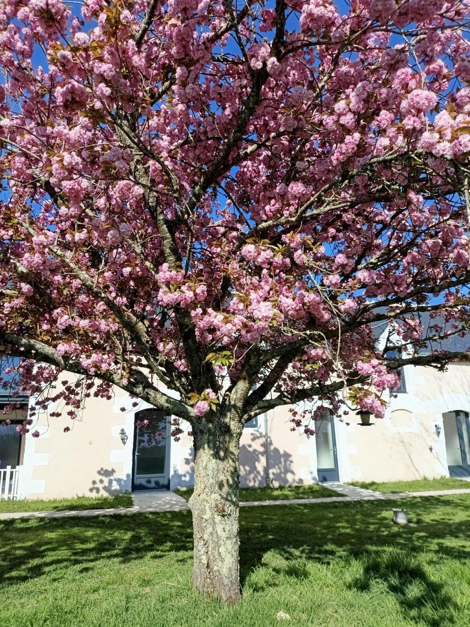 Les Chambres D'Emma Le Liege Dış mekan fotoğraf