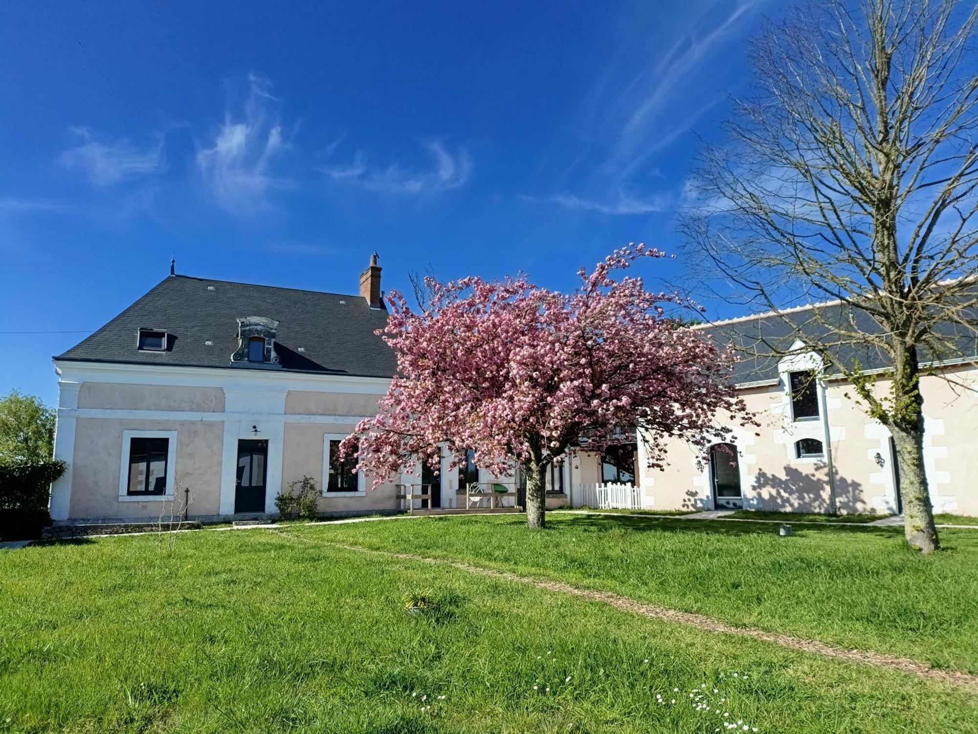 Les Chambres D'Emma Le Liege Dış mekan fotoğraf